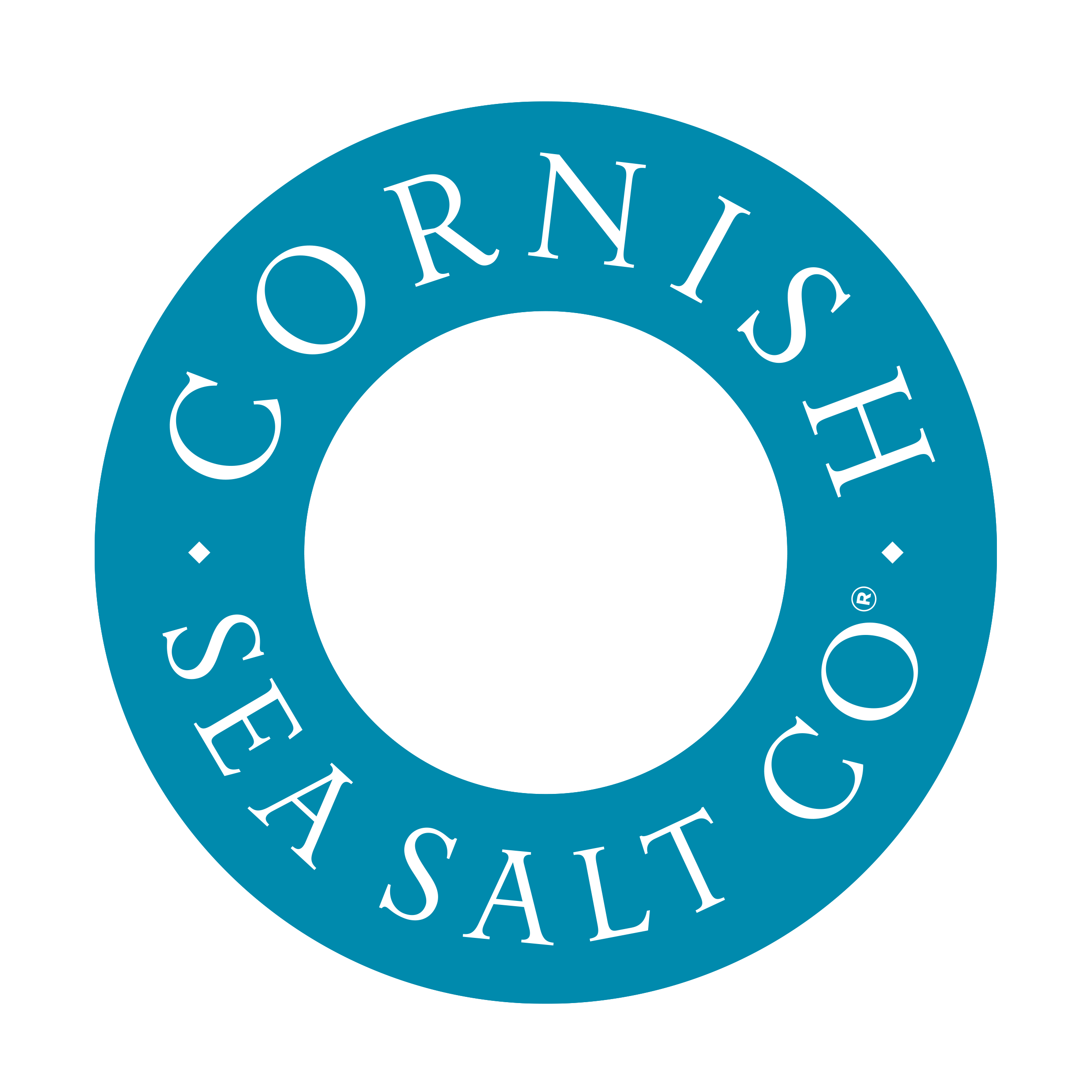CSS LOGO png