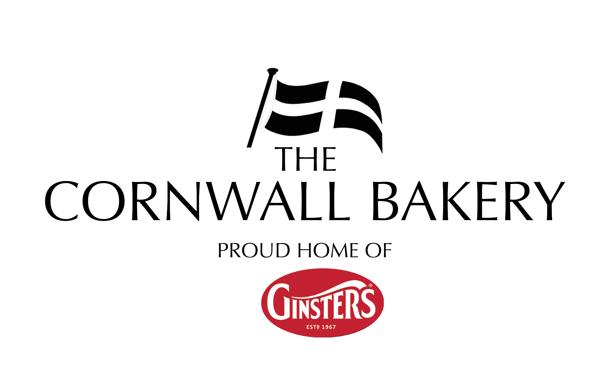 TSB logo full colour with bw flag no background RGB